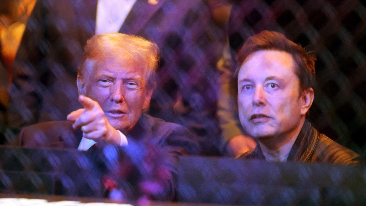 Trump Mocks Feds with SpongeBob Meme After Musk’s Crackdown!