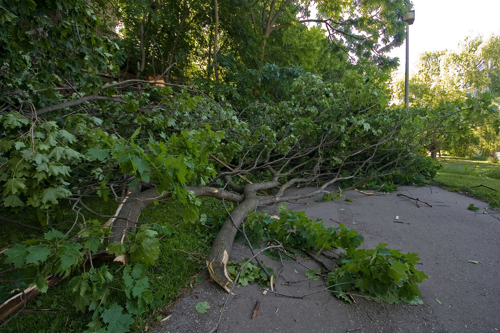 Fierce storm devastates New Jersey town, leaves 3 dead and July 4th in mourning
